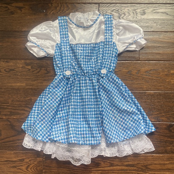 Wizard of Oz Sparkly Dorothy Costume - Picture 1 of 3